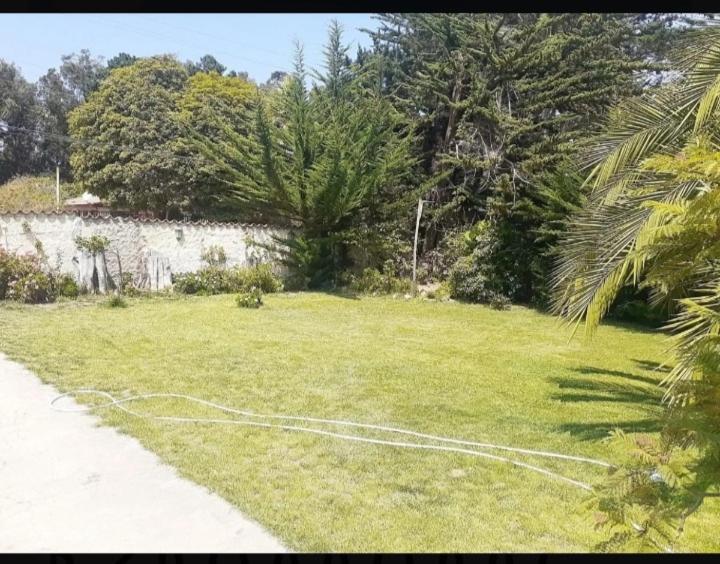 Mi Refugio * Isla Negra